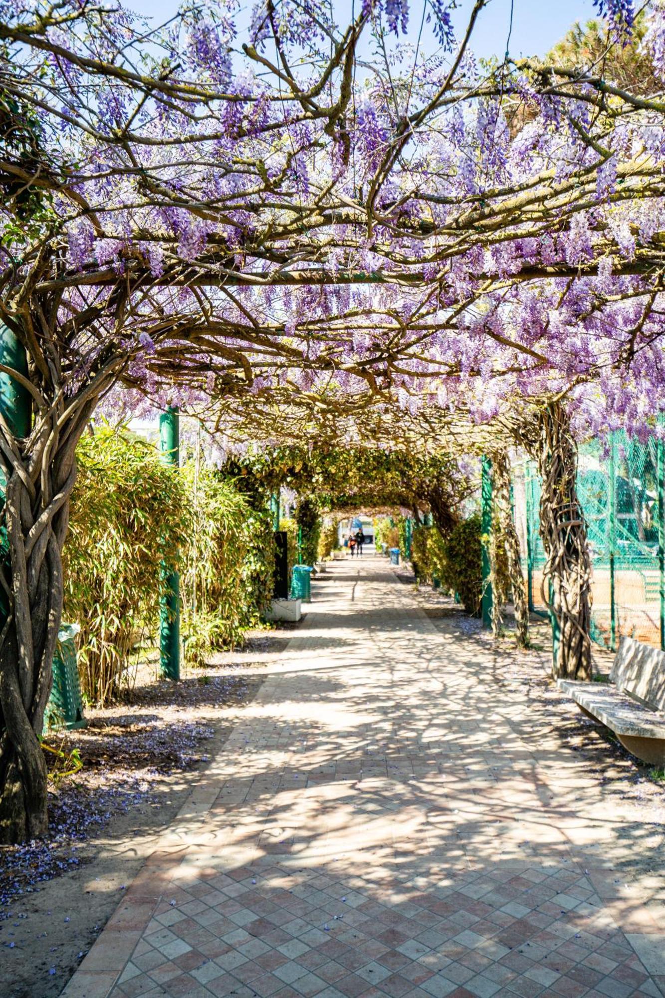 Marepineta Resort 밀라노마리티마 외부 사진